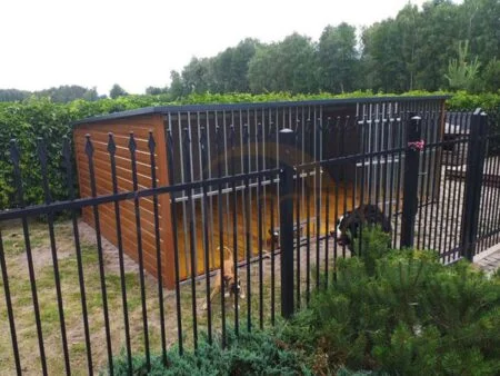 Ocynkowany kojec 6×2,5 ściany pokryte blachą złoty dąb